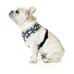 FuzzYard Rad Dog Harness