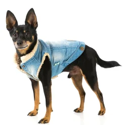 FuzzYard Rebel Denim Jacket