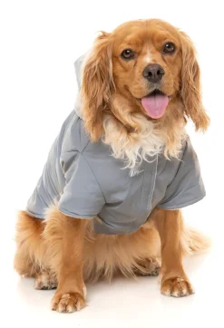 FuzzYard Reflective Hoodie