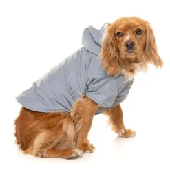 FuzzYard Reflective Hoodie