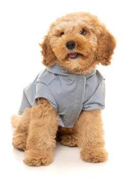 FuzzYard Reflective Hoodie