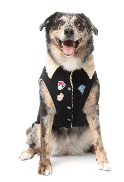 FuzzYard Rep It - Clubhouse Jacket