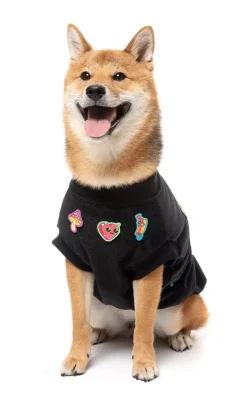 FuzzYard Rep It - Freshman Sweater