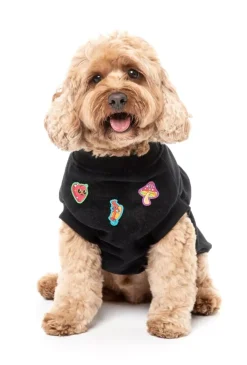 FuzzYard Rep It - Freshman Sweater