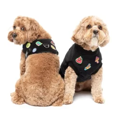 FuzzYard Rep It - Freshman Sweater