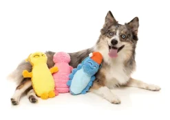 FuzzYard Rolly The Bed Bug (Blue) - Dog Toy