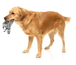 FuzzYard Run Along Raccoon - The Yeetz - Dog Toy