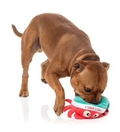 FuzzYard Santa Claws - Dog Toy