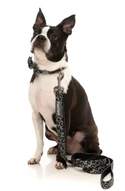 FuzzYard Savanna - Dog Lead