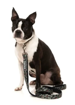 FuzzYard Savanna - Dog Lead