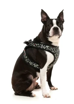 FuzzYard Savanna - Step In Harness