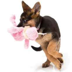 FuzzYard Scrachette the Flea