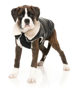 FuzzYard Sebastian Jacket - Black