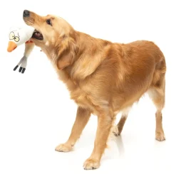 FuzzYard See-ya Seagull - The Yeetz - Dog Toy