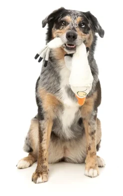 FuzzYard See-ya Seagull - The Yeetz - Dog Toy