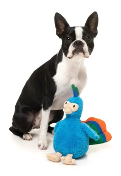 FuzzYard Showboat the Peacock