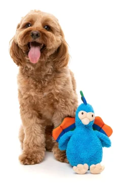 FuzzYard Showboat the Peacock