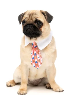 FuzzYard Sir Sleepy Time Necktie