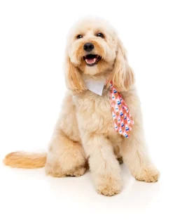 FuzzYard Sir Sleepy Time Necktie