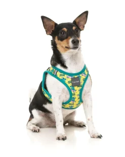 FuzzYard Sk8ter Gator - Step In Harness