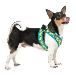 FuzzYard Sk8ter Gator - Step In Harness