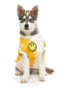 FuzzYard Smiley Tie-rus Sweater Yellow/Cream