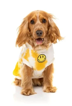 FuzzYard Smiley Tie-rus Sweater Yellow/Cream