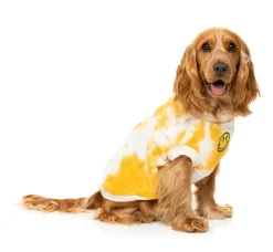 FuzzYard Smiley Tie-rus Sweater Yellow/Cream