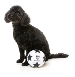 FuzzYard Soccer Ball - Dog Toy