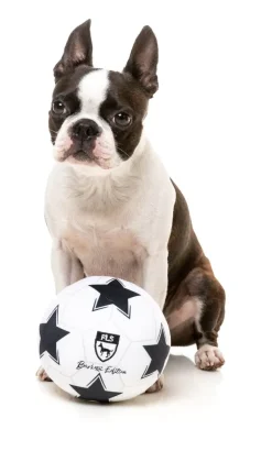 FuzzYard Soccer Ball - Dog Toy