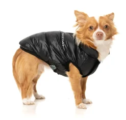 FuzzYard South Harlem Jacket - Black