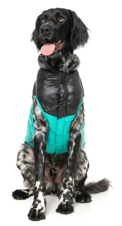 FuzzYard South Harlem Jacket - Teal