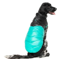 FuzzYard South Harlem Jacket - Teal