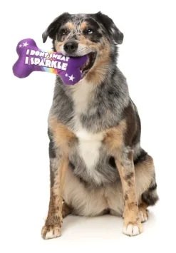 FuzzYard Sparkle Bone - Dog Toy