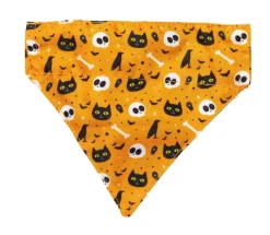 FuzzYard Spooky Kitty - Cat Fashion Pack