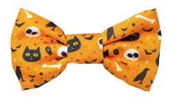 FuzzYard Spooky Kitty - Cat Fashion Pack