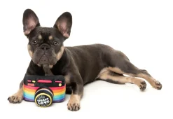 FuzzYard Spread Love Camera - Dog Toy