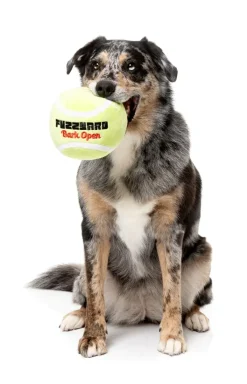 FuzzYard Tennis Ball - Dog Toy