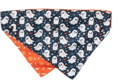 FuzzYard That's The Spirit - Dog 2 Pack