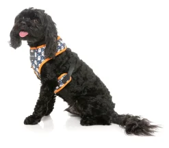 FuzzYard That's The Spirit - Dog Harness