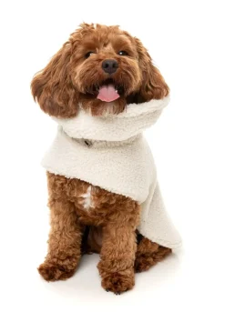 FuzzYard The Cosy Snood Coat - Eggshell