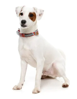 FuzzYard The Homies - Dog Collar