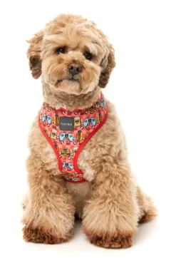 FuzzYard The Homies - Dog Harness