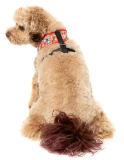 FuzzYard The Homies - Dog Harness