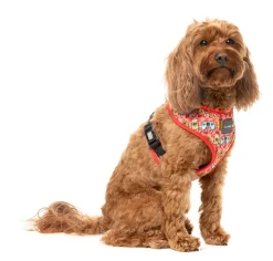 FuzzYard The Homies - Dog Harness