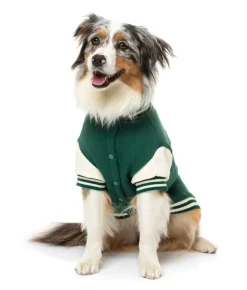 FuzzYard The Letterman Jacket - Green