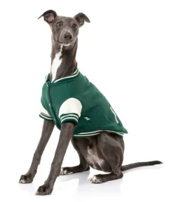 FuzzYard The Letterman Jacket - Green