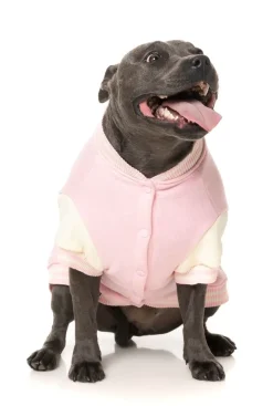 FuzzYard The Letterman Jacket - Pink