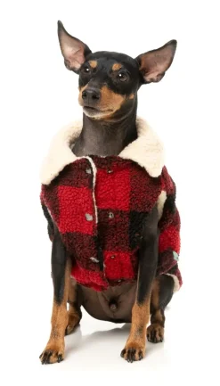 FuzzYard The Lumberjack - Red