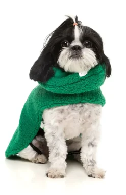 FuzzYard The Snuggle Snood Coat - Green